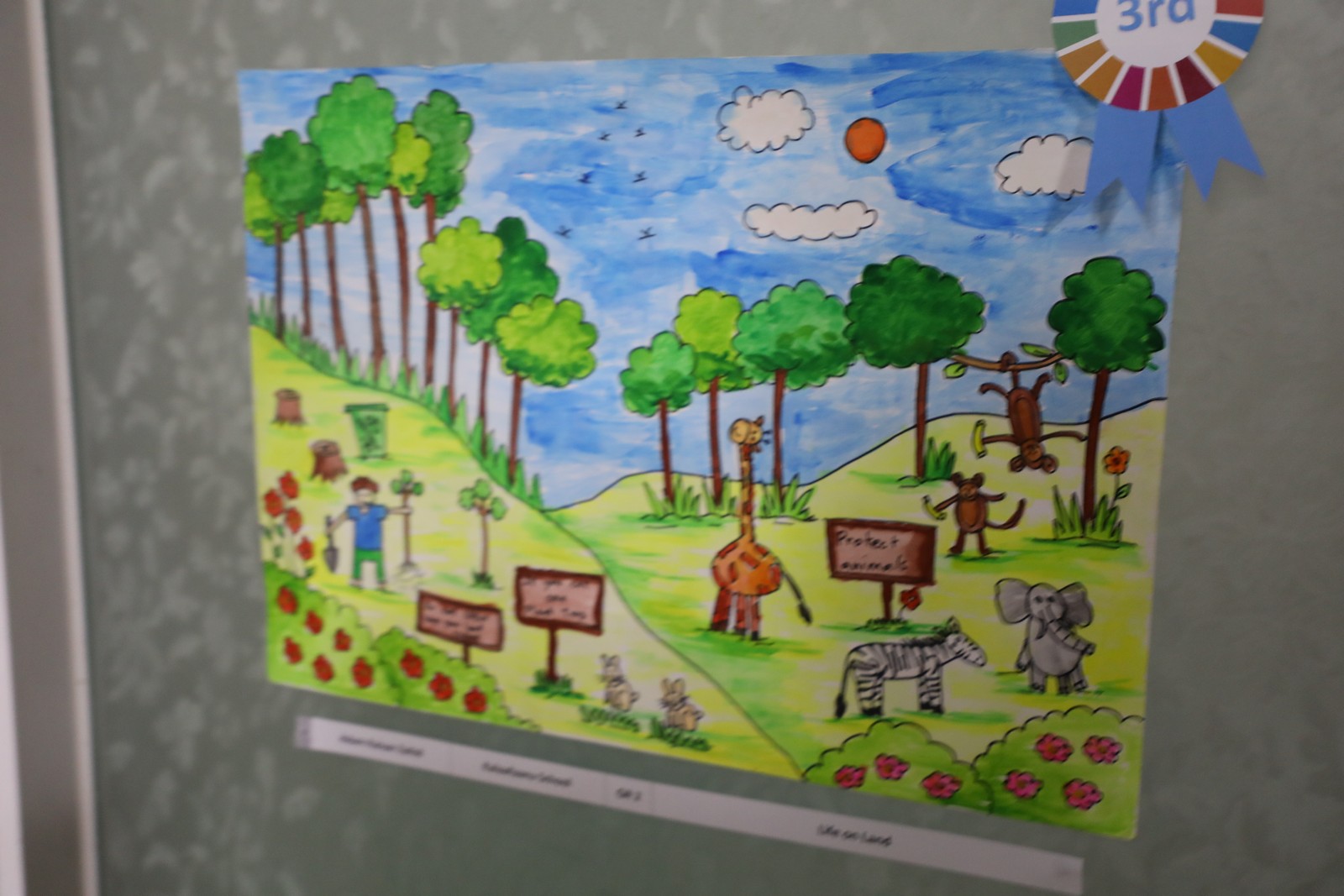 poster on Save Environment | Easy drawings, Nature drawing, Earth drawings